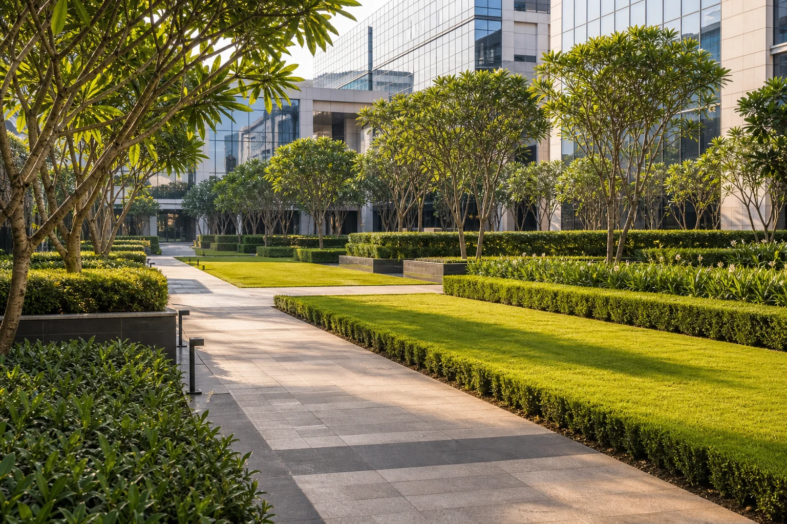 Maintained commercial landscape with lawn, clipped hedges, tree shade, and clean pedestrian walkways.